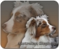 Preview: Mousepad Australian Shepherd #6